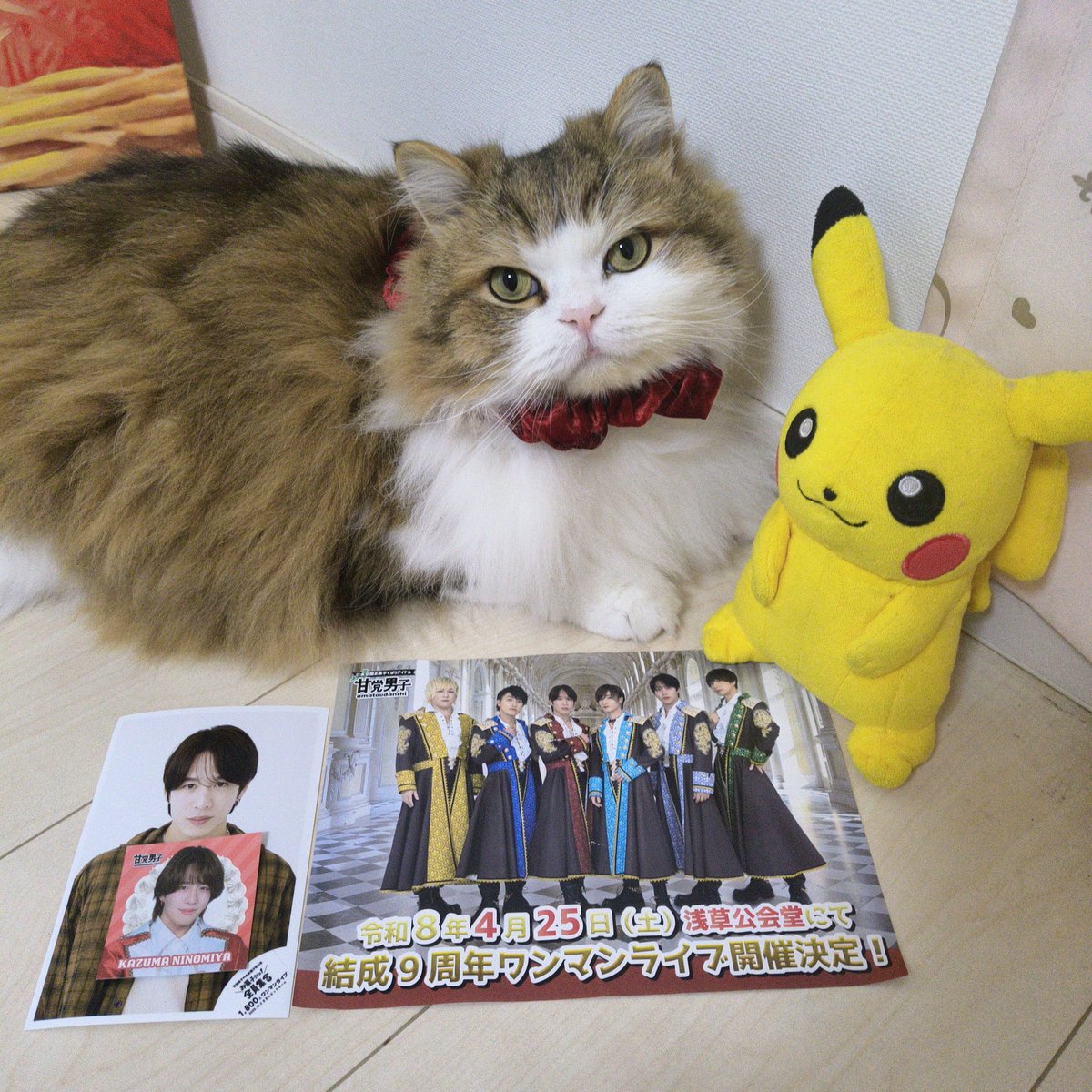 パルTNR動物福祉病院 | CAPIN【公式Webサイト】, image size:1200x1200