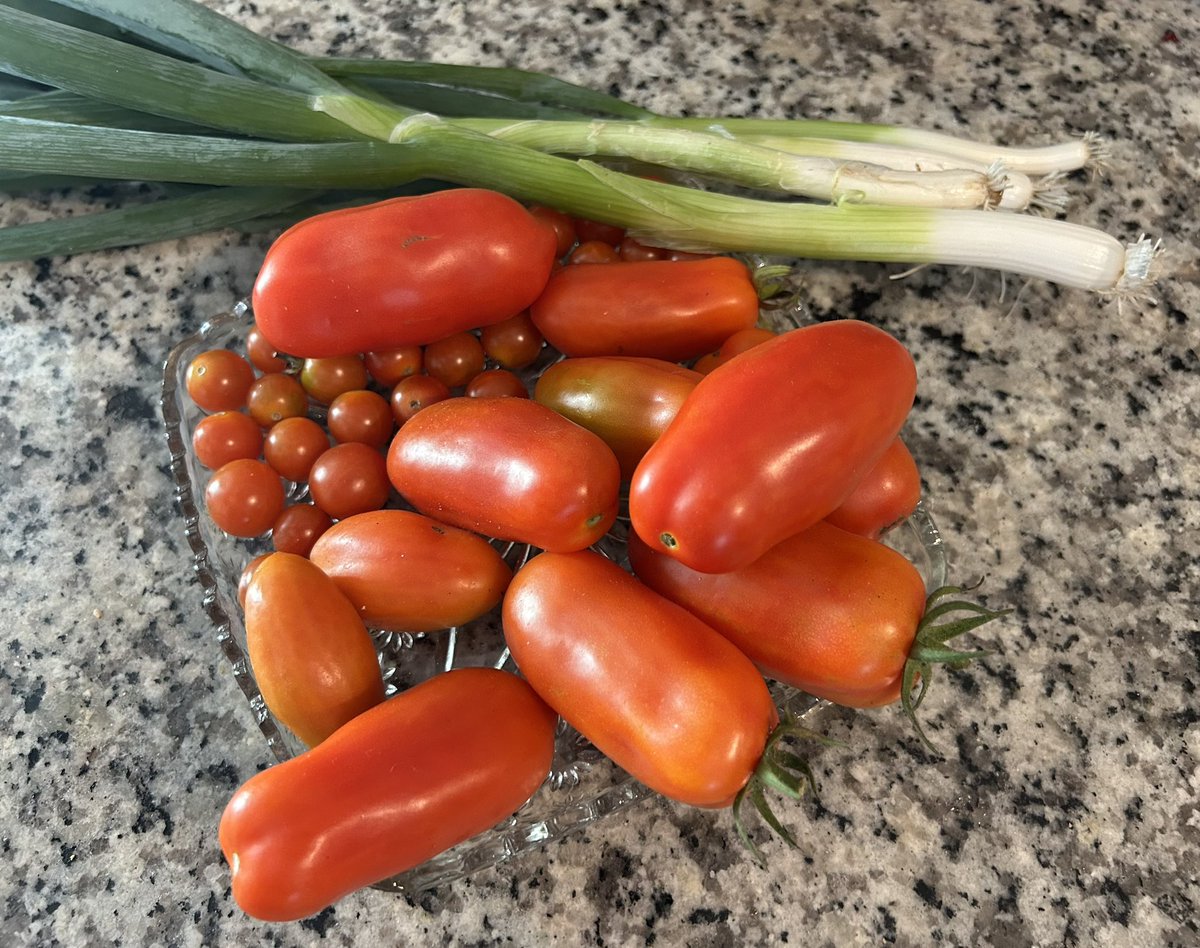 lizBeth_Hineni's tweet image. Today’s bounty ❤️ January 06
🍅☀️🌴

#FloridaLiving  #HealthyEats