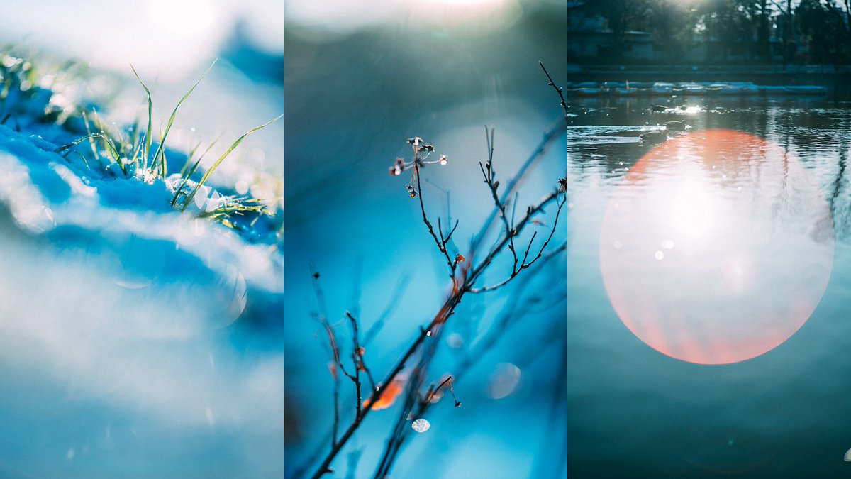 LENS_BLOG_'s tweet image. 光が好き