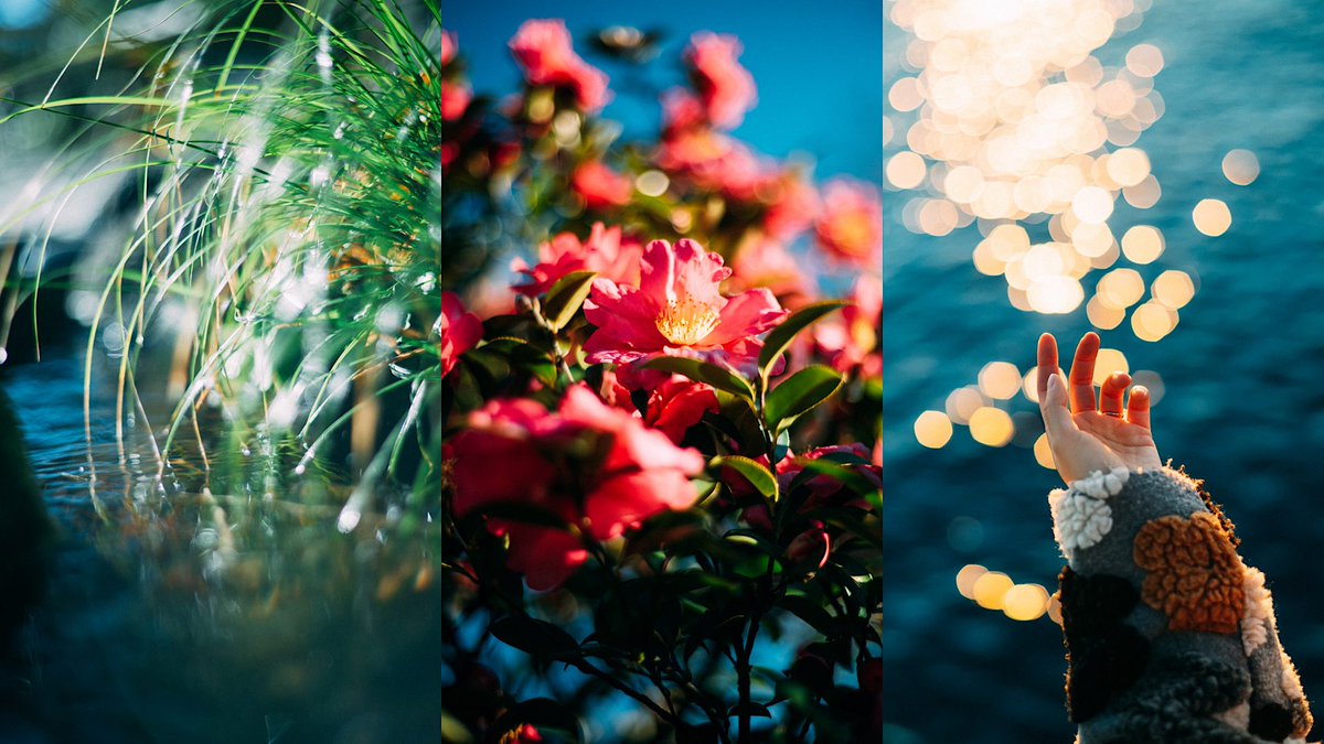 LENS_BLOG_'s tweet image. 光が好き