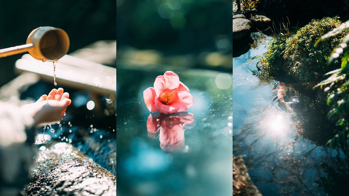 LENS_BLOG_'s tweet image. 光が好き