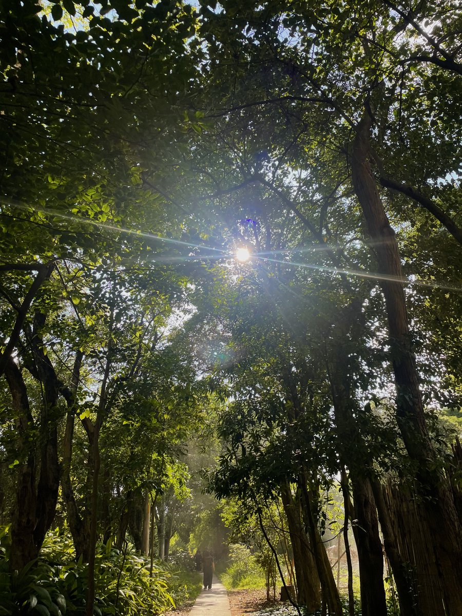 caminhada bonita hoje
