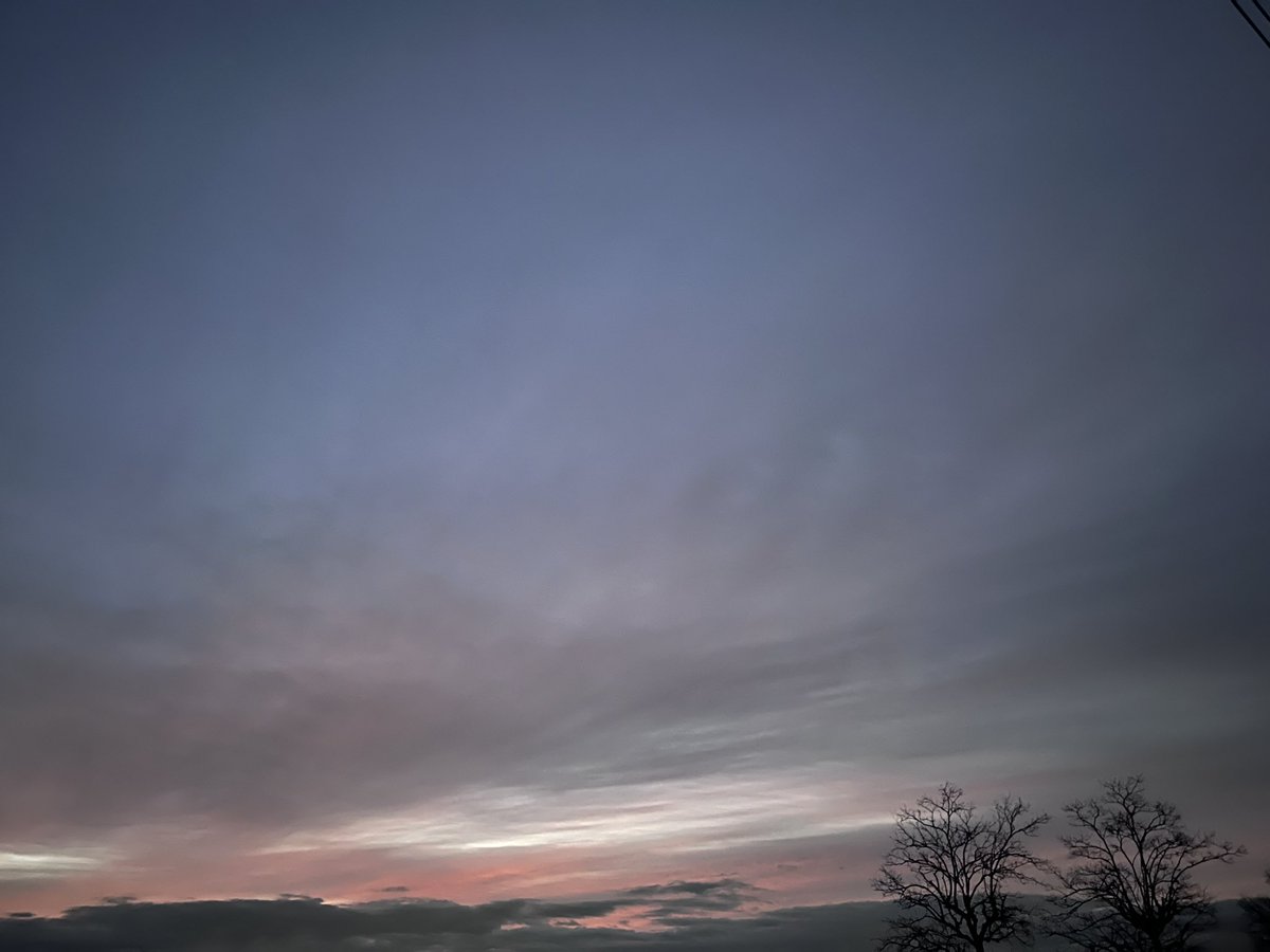 おはようございます✨ よく冷えて、吐く息の白さが増す朝に。 今朝の空