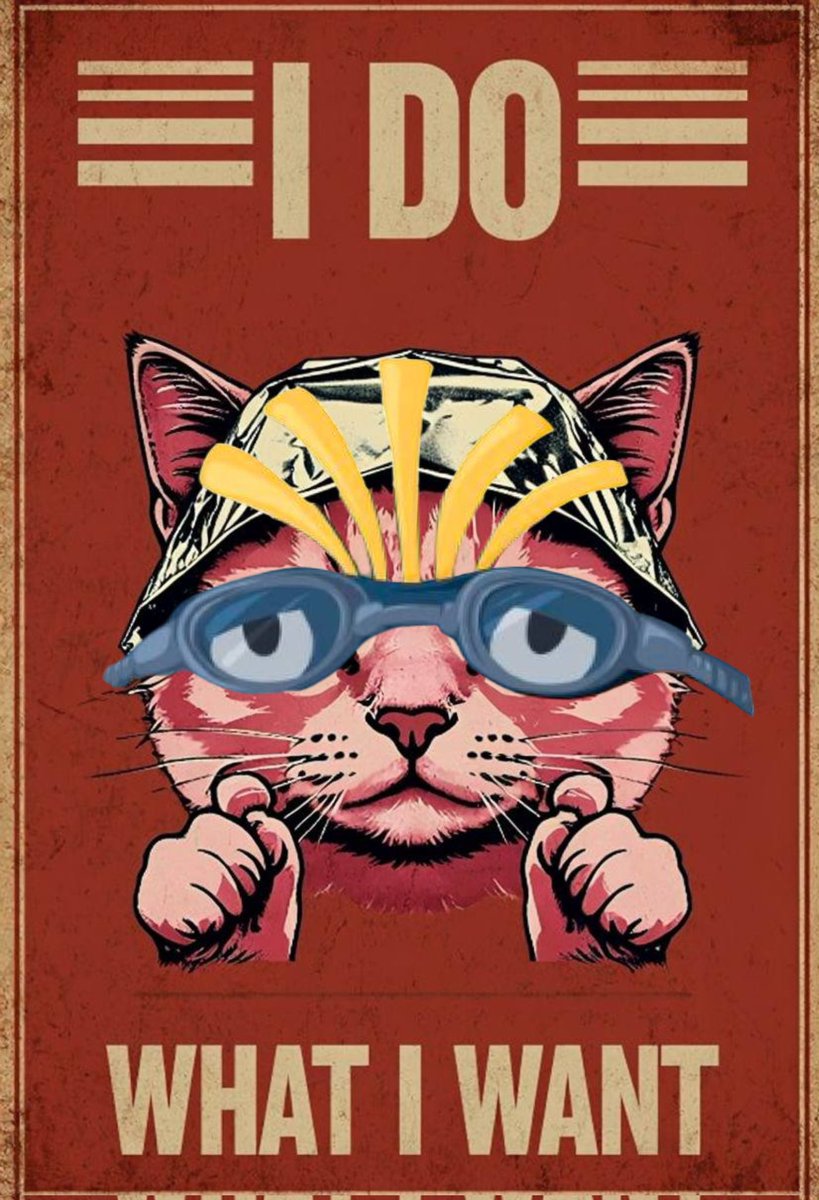 The Tin Hat Cat tweet media