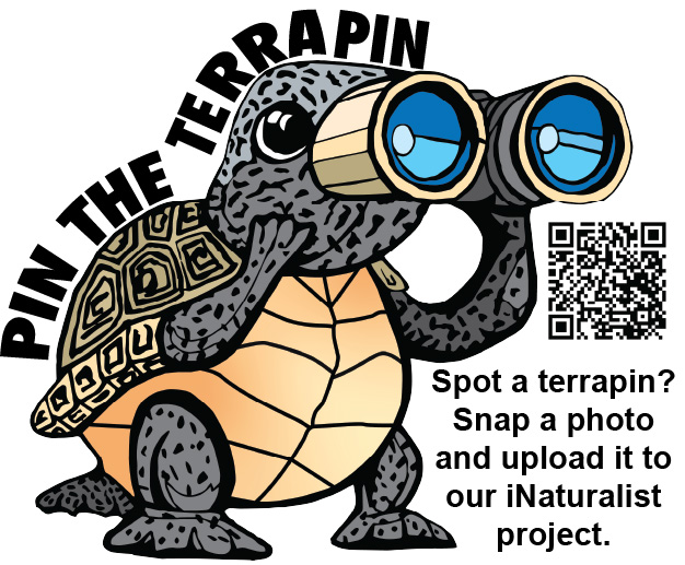 Louisiana Sea Grant tweet media