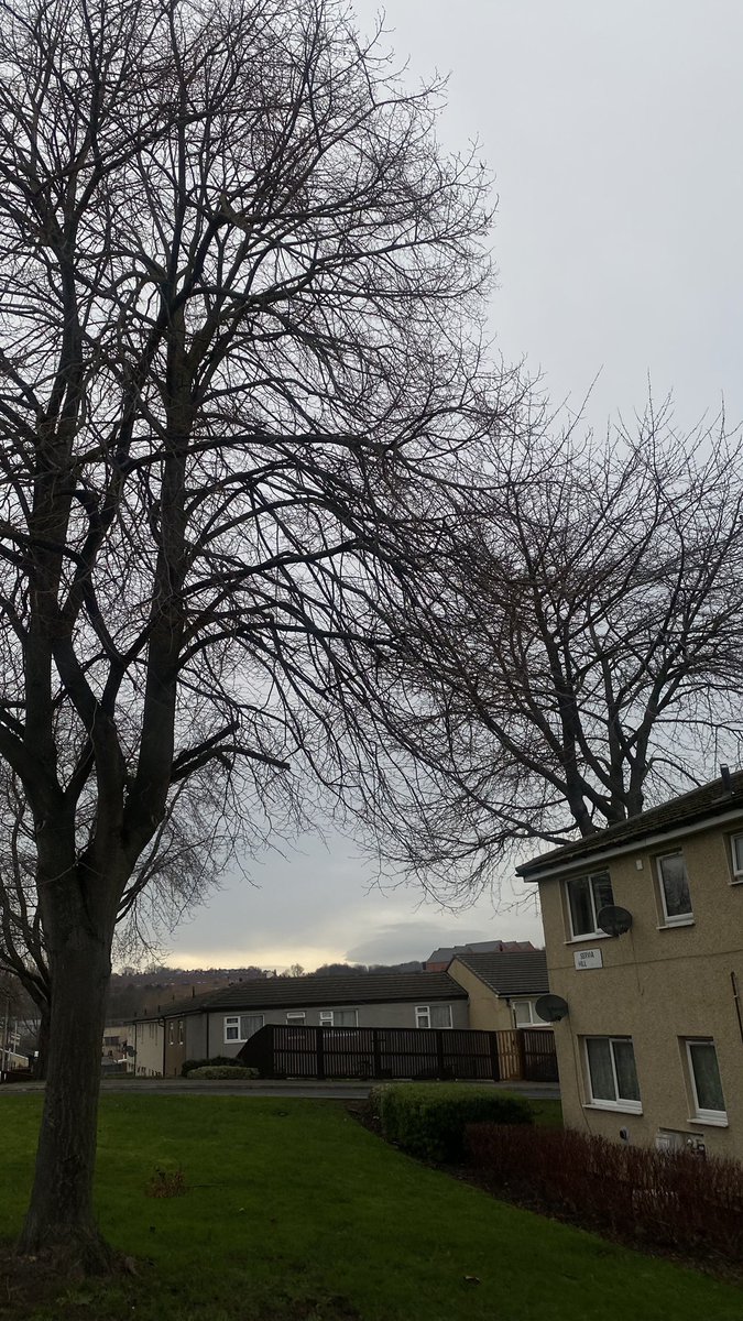 أوباس tweet media