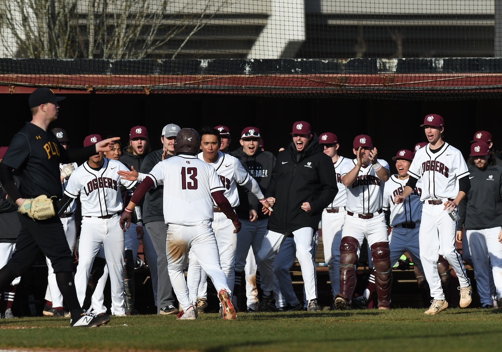 Puget Sound Baseball tweet media
