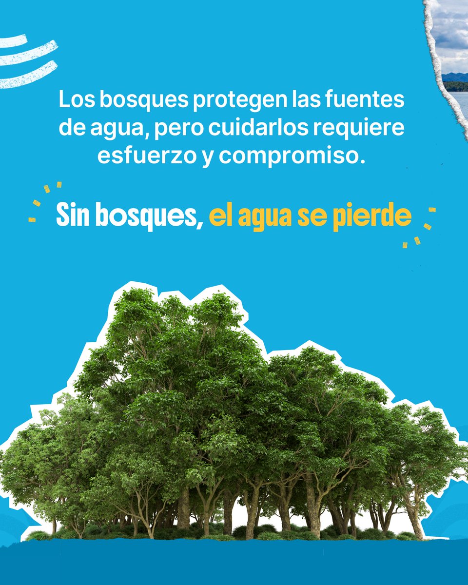 Mientras tanto el ministerio de ambiente 👇 #AeroMetro