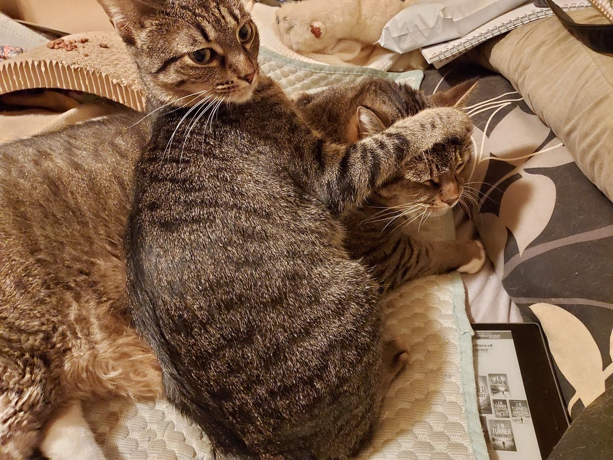 LokiLollipop&TakiniTaco tweet media