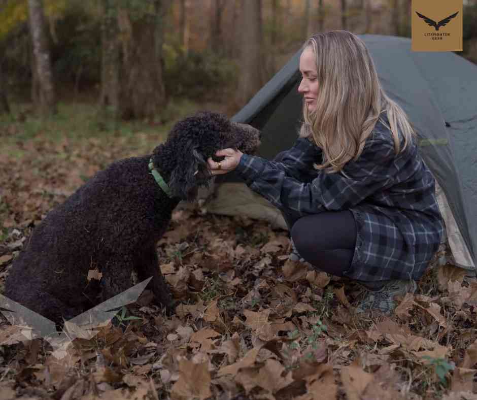 LiteFighter Gear tweet media