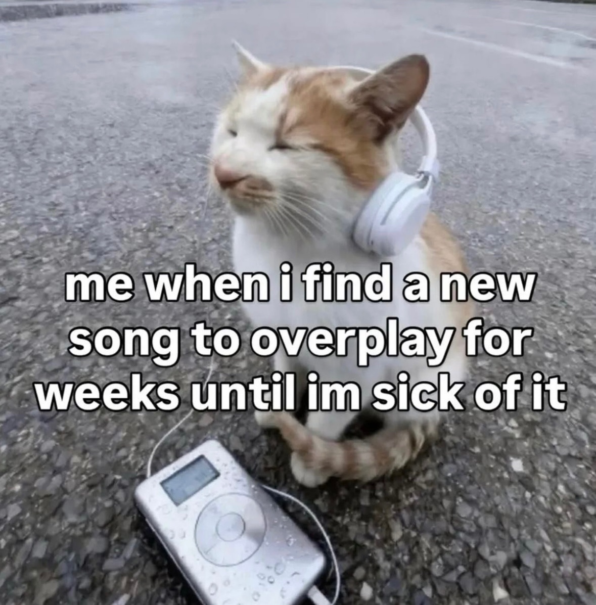 RespectfulMemes's tweet image. 