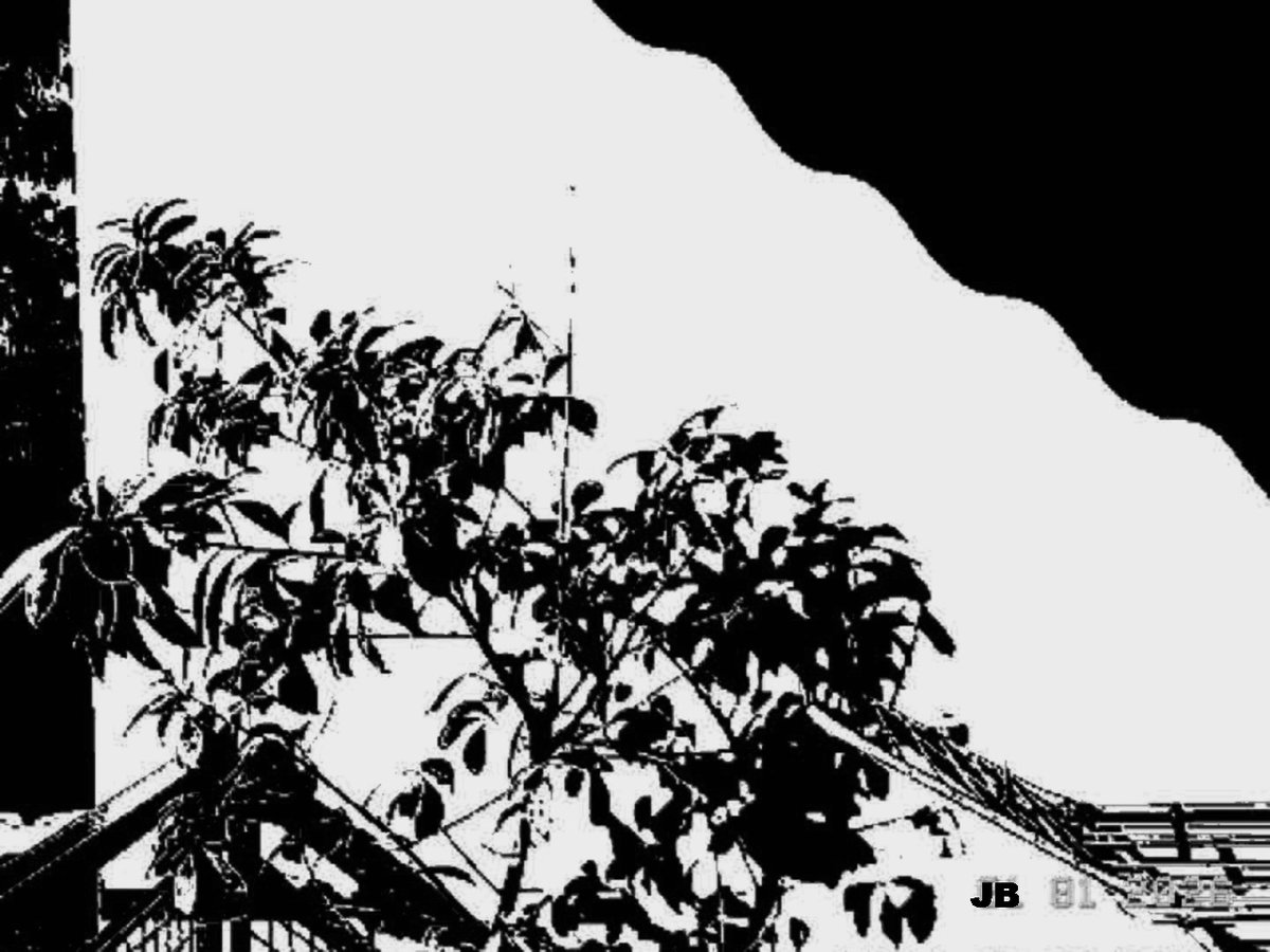 johbeil's tweet image. View from the balcony
Kodak Charmera
#BlackAndWhite #monochrome #ToyCamera #photography