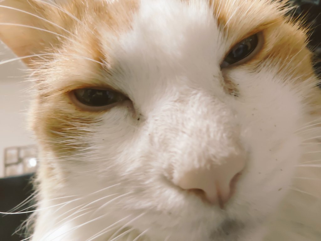 膝上の時の満足ショボ顔
自撮りカメラだから画質悪いなw 