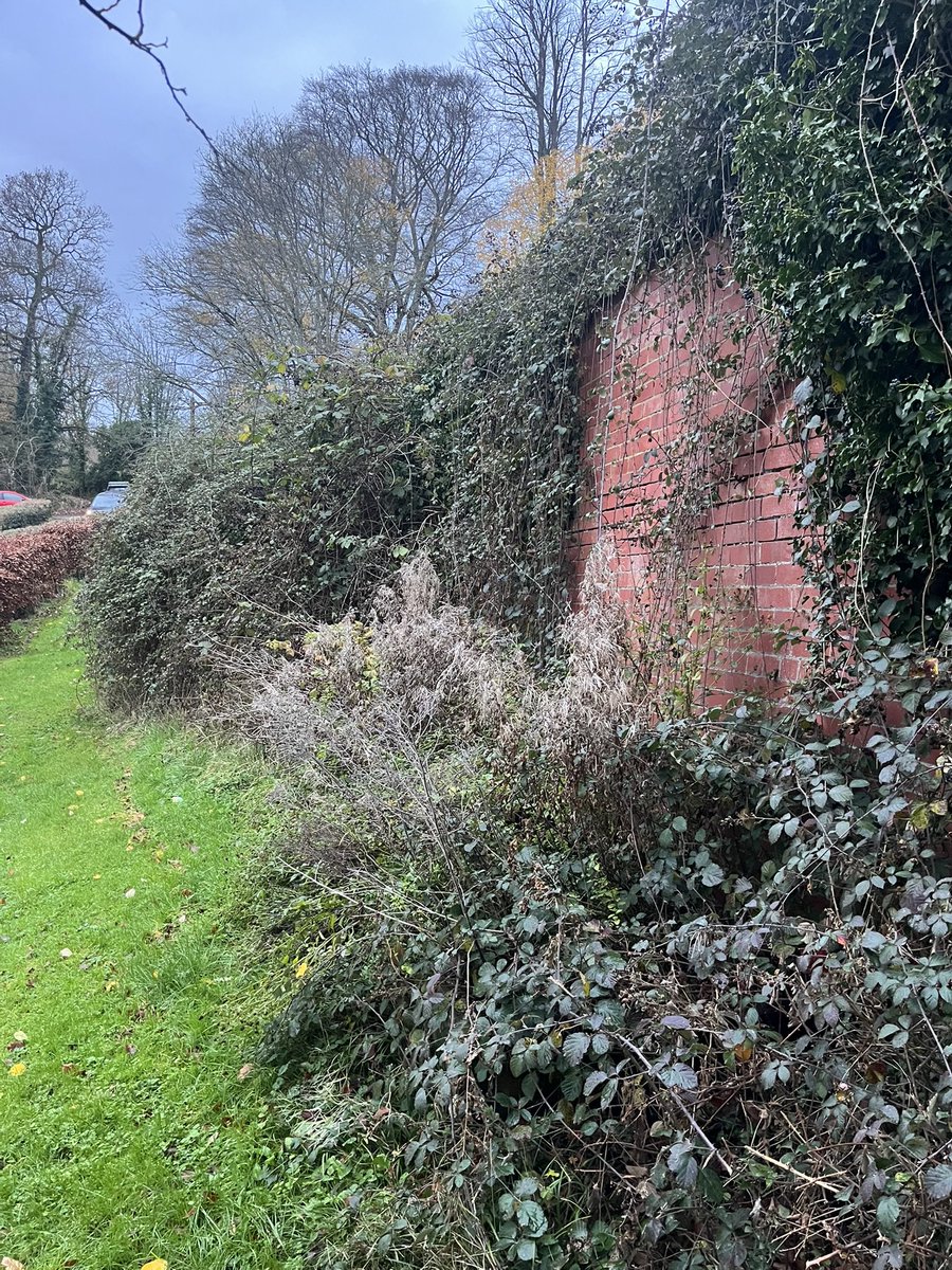 Jack Cowan tweet media