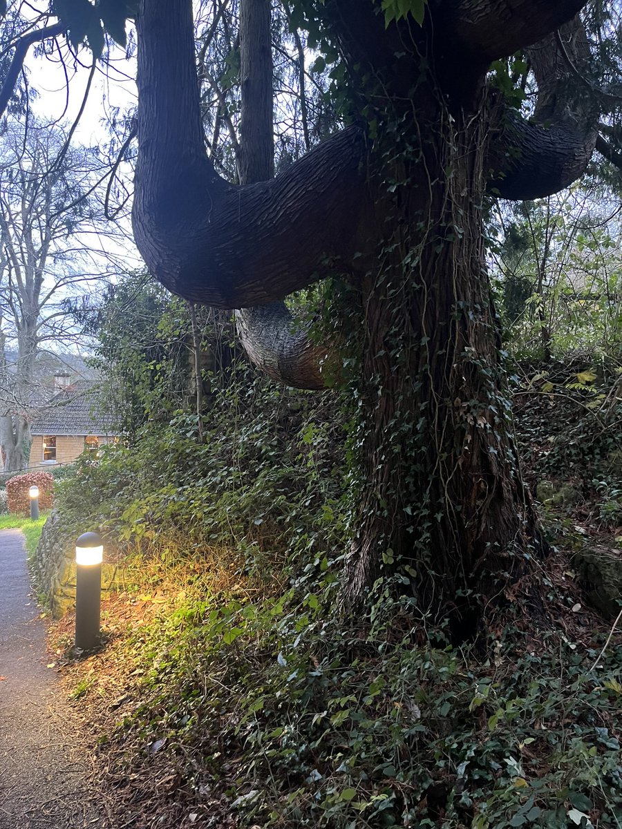 Jack Cowan tweet media