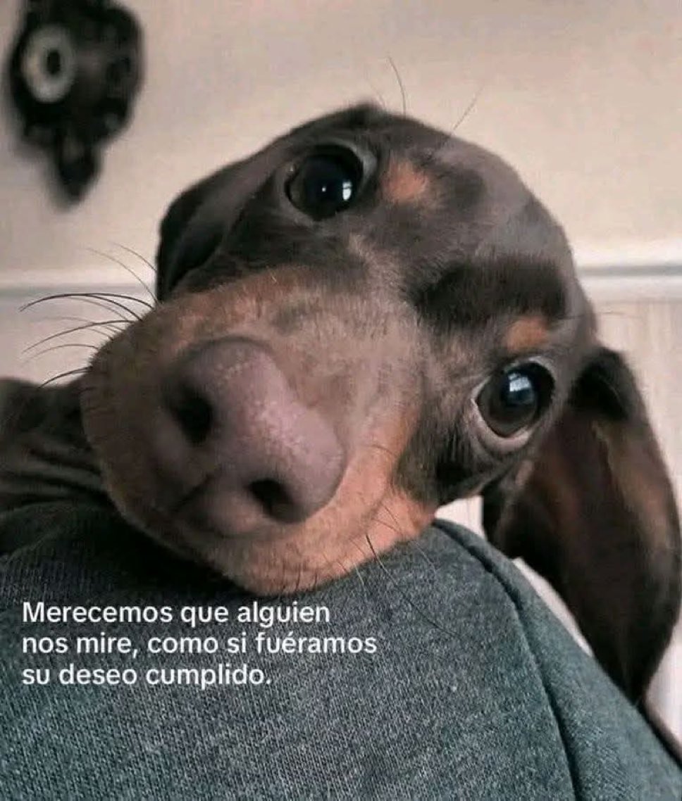 🌙 mini textos (@soyminitextos) on Twitter photo 