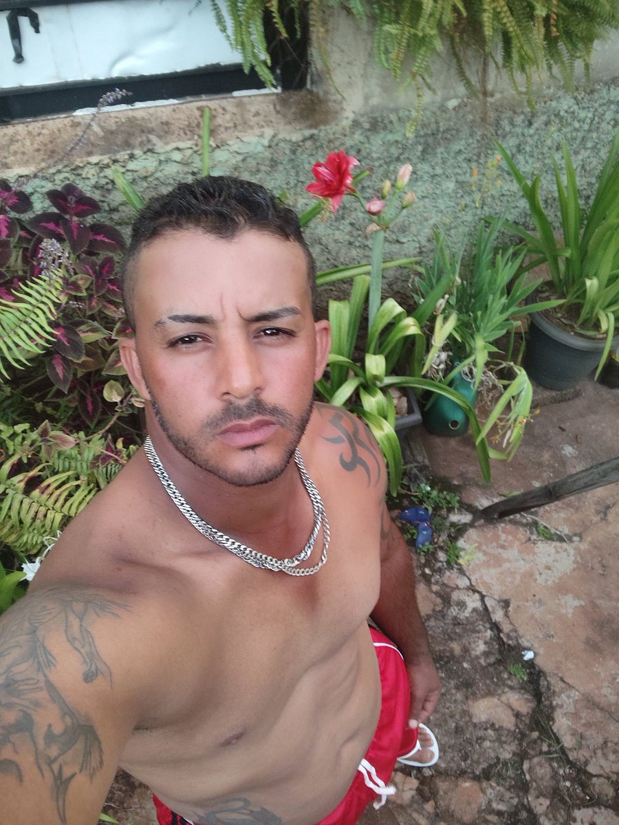 Boua noite