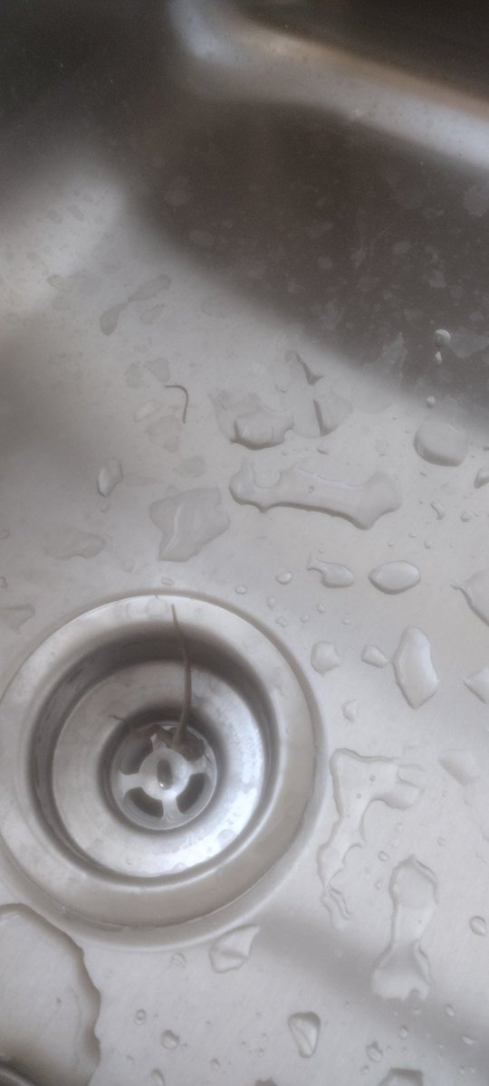 how do i help this lizard... i have already done the obvious and it came off