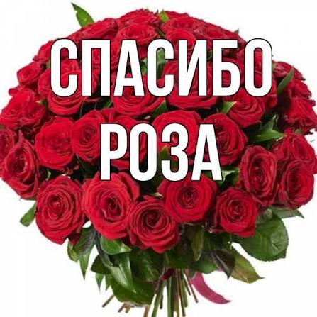 eroalone's tweet photo. @9_fragments Сеньк ю)) https://t.co/vzObLI5SAH