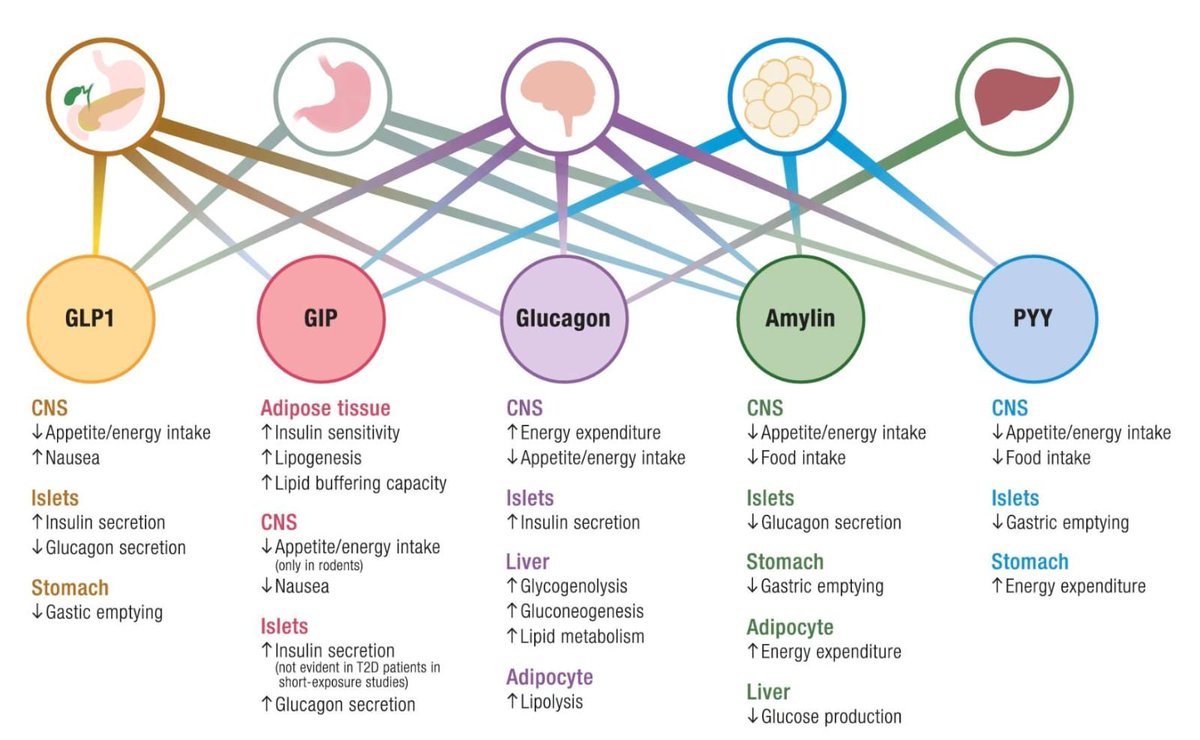 Dr Alo, DO, FACC tweet media
