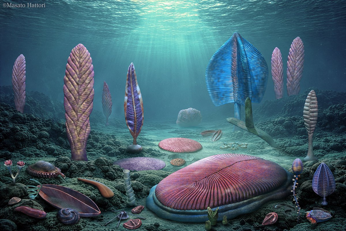 dgdt2425's tweet image. エディアカラ紀のパノラマ新バージョンです。
この時代はまだみんな目がありませんね。