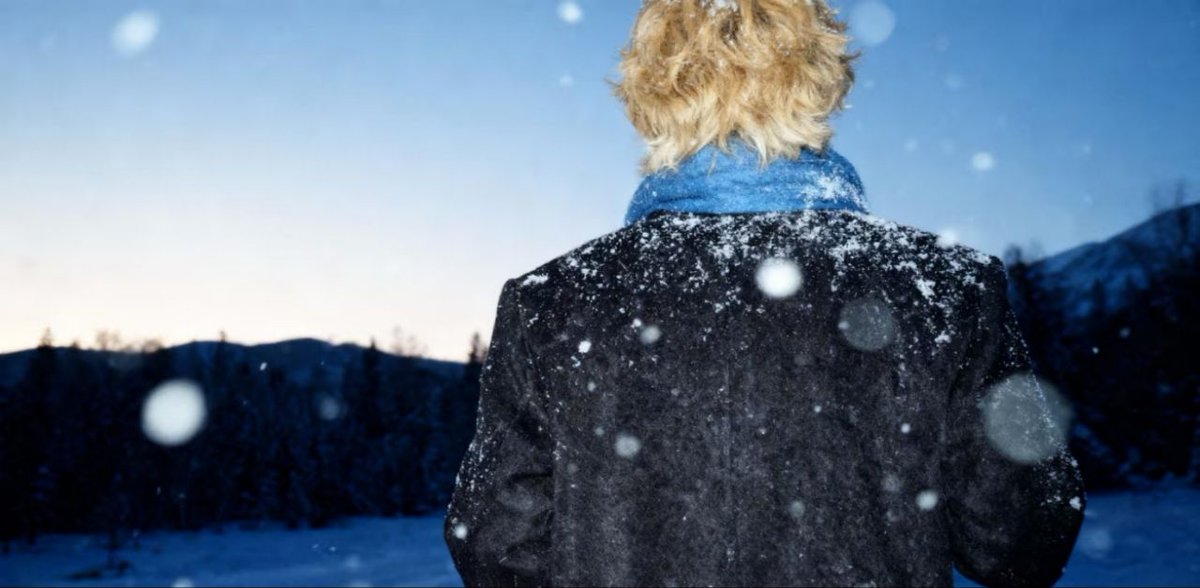 wiegevoid's tweet image. 