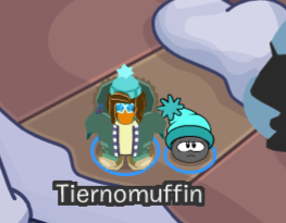 🛡️ Muffin!! 🛡️ tweet media