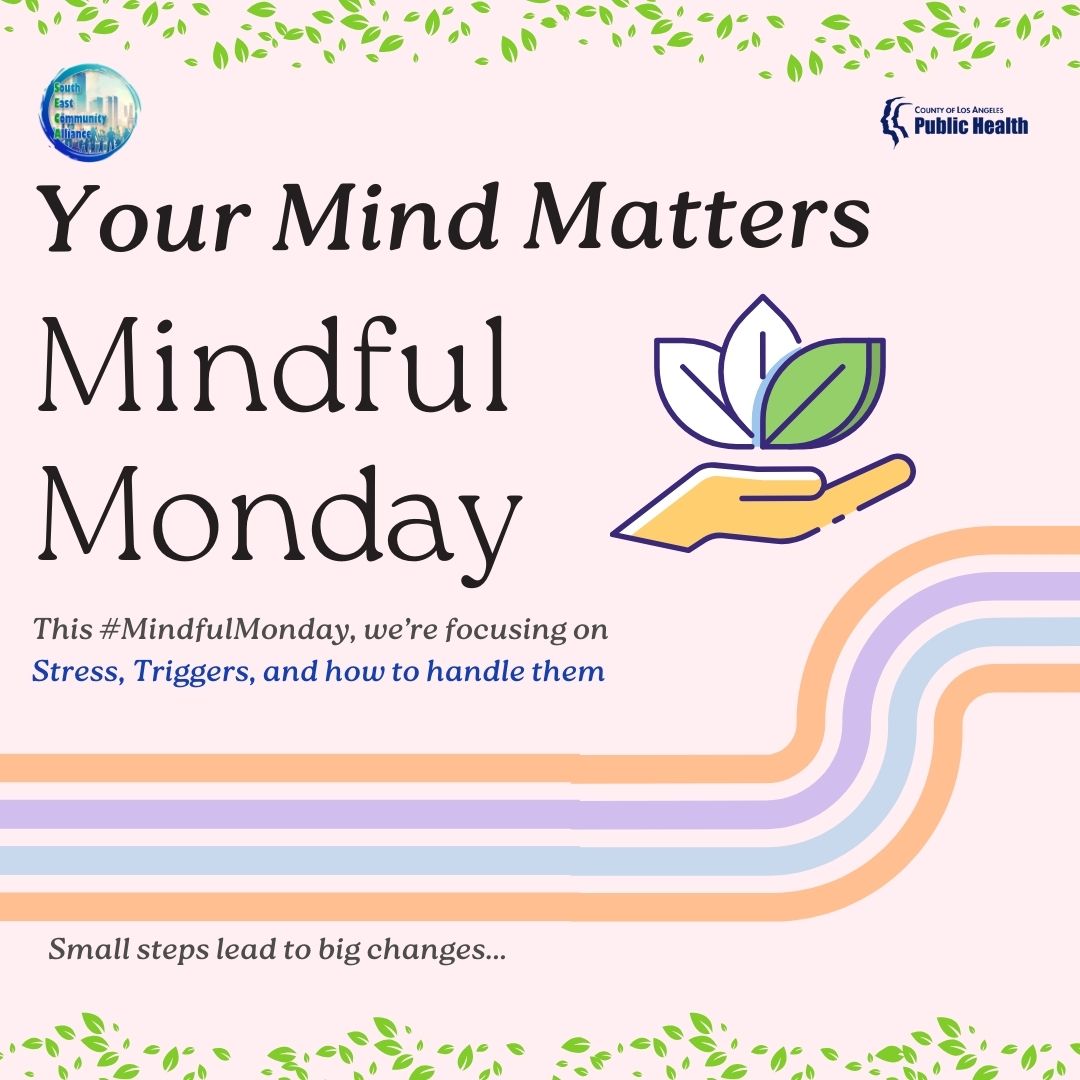 seca_spa7's tweet photo. It’s Mindful Monday! Back-to-School season can be a challenging time. Swipe to learn more about what you can do as a parent, friend, or adult to support a young person as they navigate a new school year. #SECA #CommunityEngagement #DrugPrevention #BackToSchool #TipsForParents https://t.co/GxRGKMdbrf