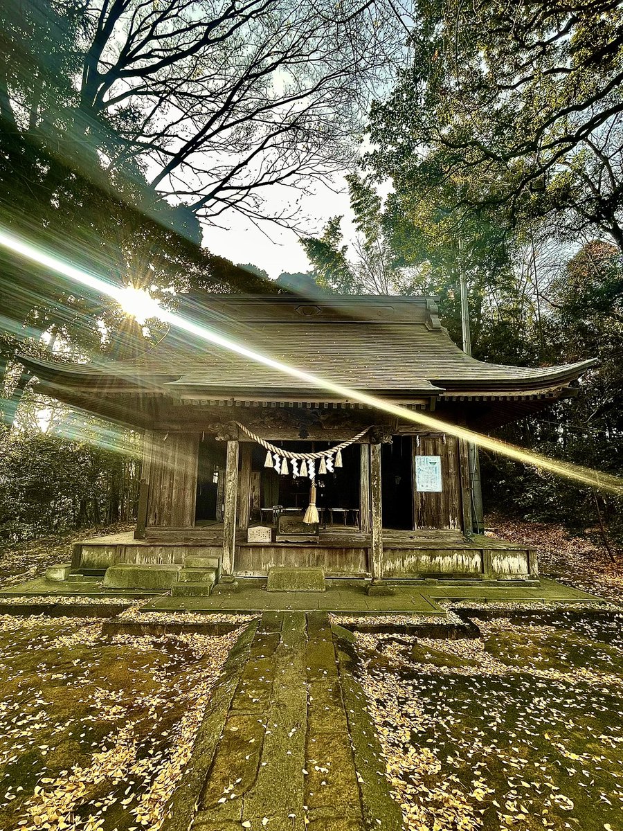 子安神社の社殿を包む温かい光を
そっとお福分けいたします✨

皆様に良いことが山程おこりますように👋✨🩷

#お福分け #子安神社 #光が好き 
#神社巡り #かすみがうら市