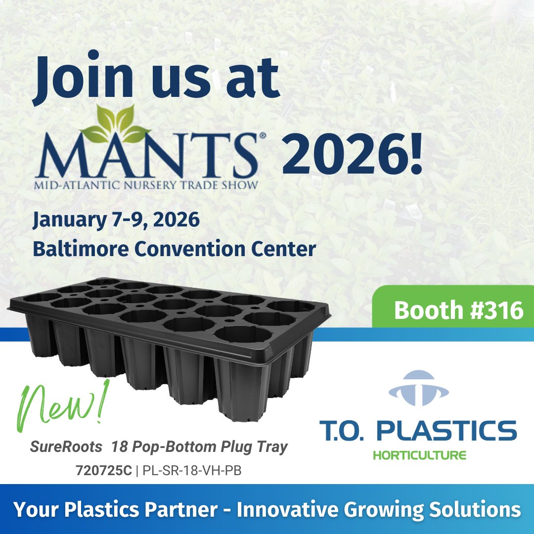 T.O. Plastics tweet media