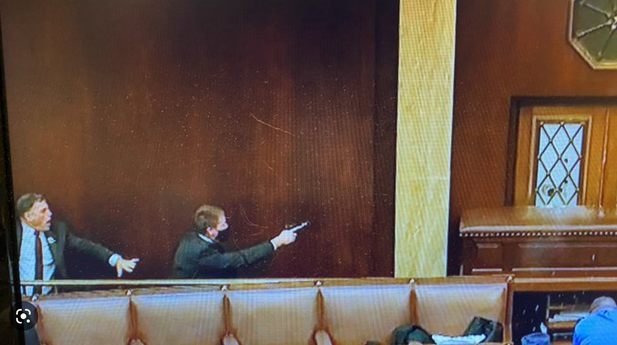 tim_herrin's tweet image. And here's Georgia representative @Rep_Clyde welcoming the insurrection guests for afternoon tea. Not really sure why that other guys holding a gun though, you guys got any ideas?