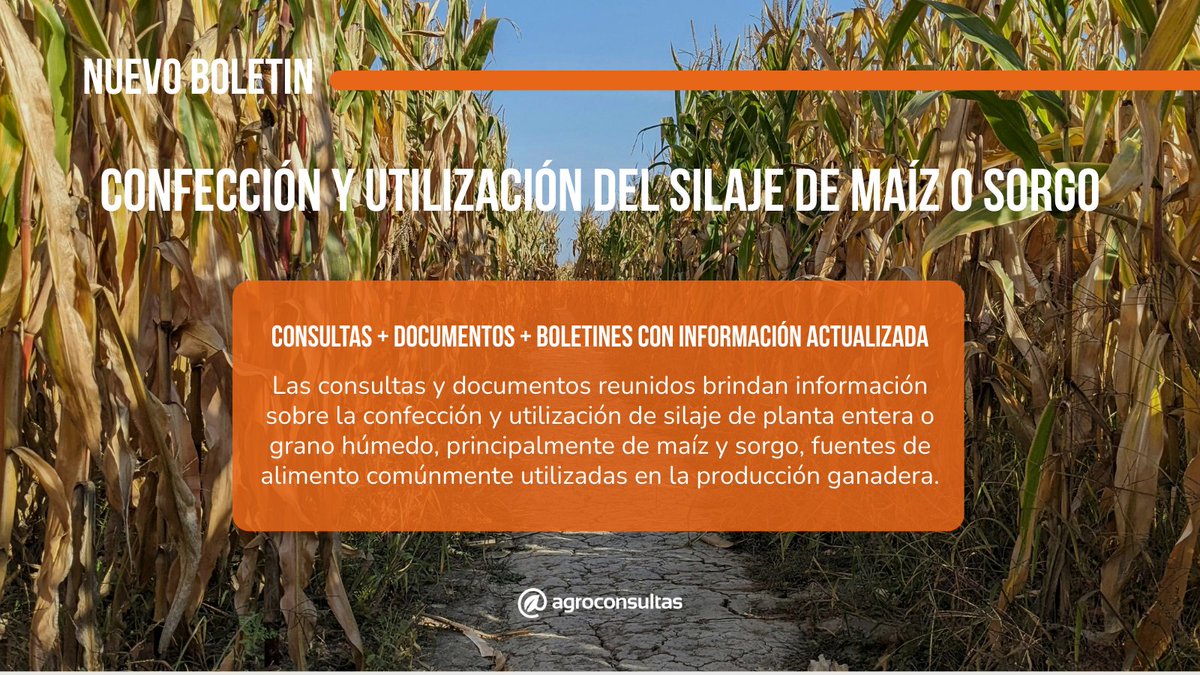 🌾 Las consultas y documentos reunidos brindan información sobre la confección y utilización de silaje de planta entera o grano húmedo, principalmente de maíz y sorgo, fuentes de alimento comúnmente utilizadas en la producción ganadera.

📎 agroconsultas.online/x8bmR2