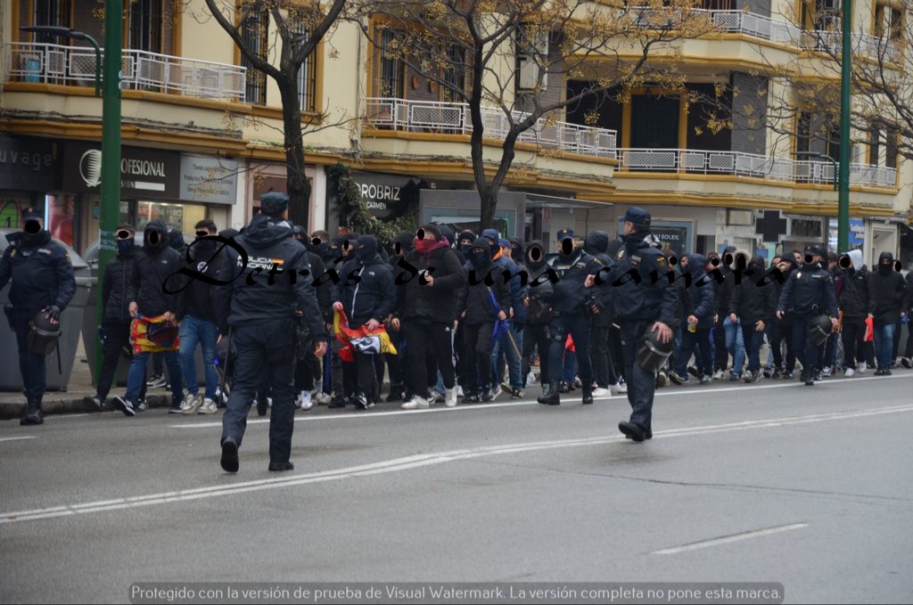 Cachorros Levante tweet media