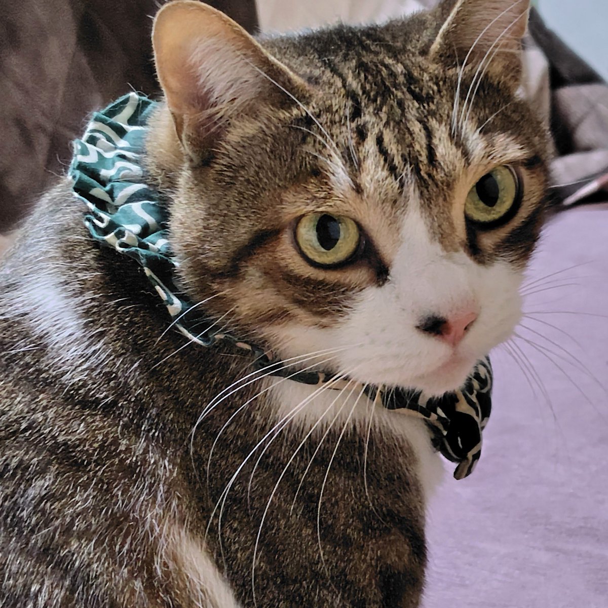 のぶりん (@Nana7Poirot1) / Posts / X