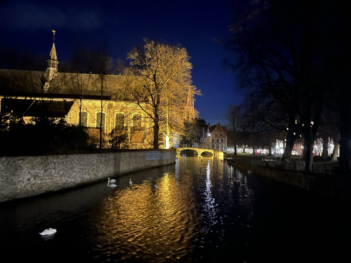 Dominiquepucini's tweet image. « La tombée de la nuit a toujours été pour moi le signal d’une fête intérieure et comme la délivrance d’une angoisse. » 
Charles #Baudelaire. #Bruges Bonne nuit