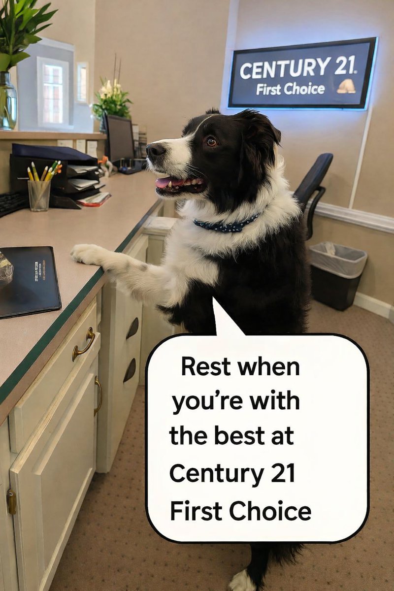 C21FirstChoice's tweet photo. Meet Jipsie! 🐾 
She's the unofficial front desk assistant at Century 21 First Choice.
She’s great at welcoming visitors… and being our adorable mascot. 😍

Thanks for sharing her with us Jessica Hunter! ❤️ https://t.co/E2H5cAWiXw