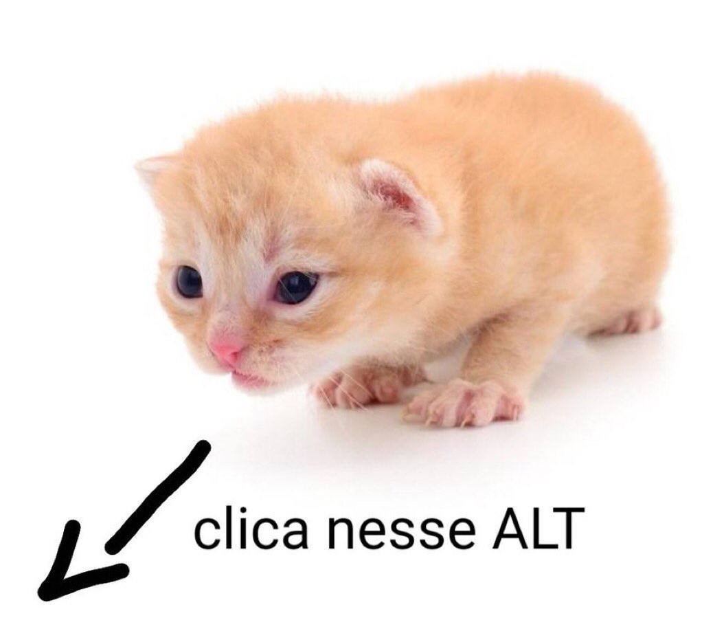 https_bru's tweet image. 