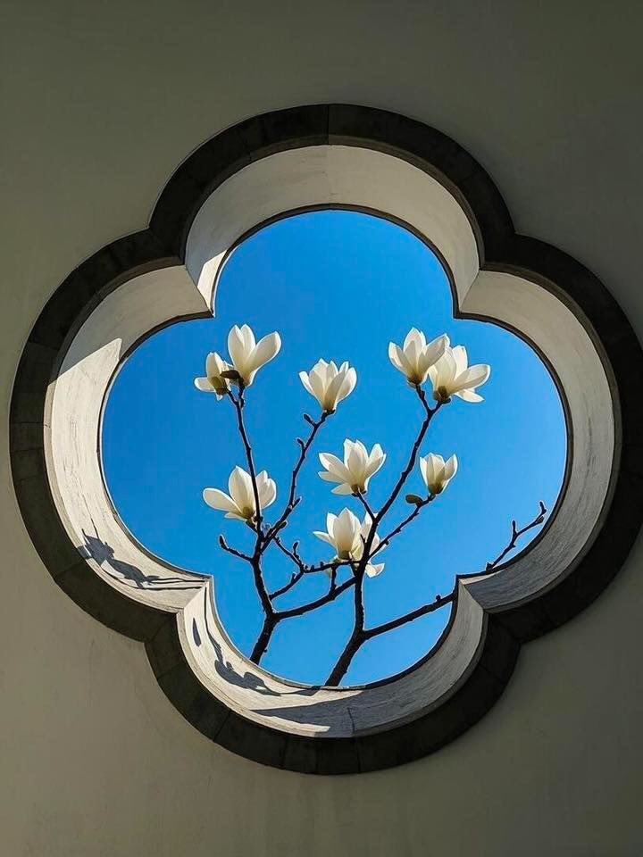 letkoell's tweet image. flower windows🌷🌺