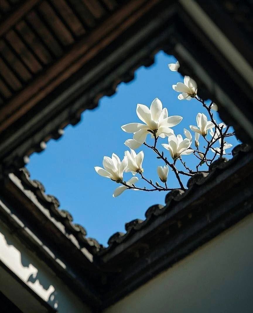 letkoell's tweet image. flower windows🌷🌺