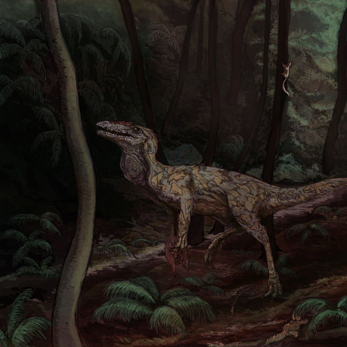 First paleo piece of 2026! 

Coelurus carries a dead Dryolestes to feed its young. 
Late Jurassic - Morrison Formation
#paleoart