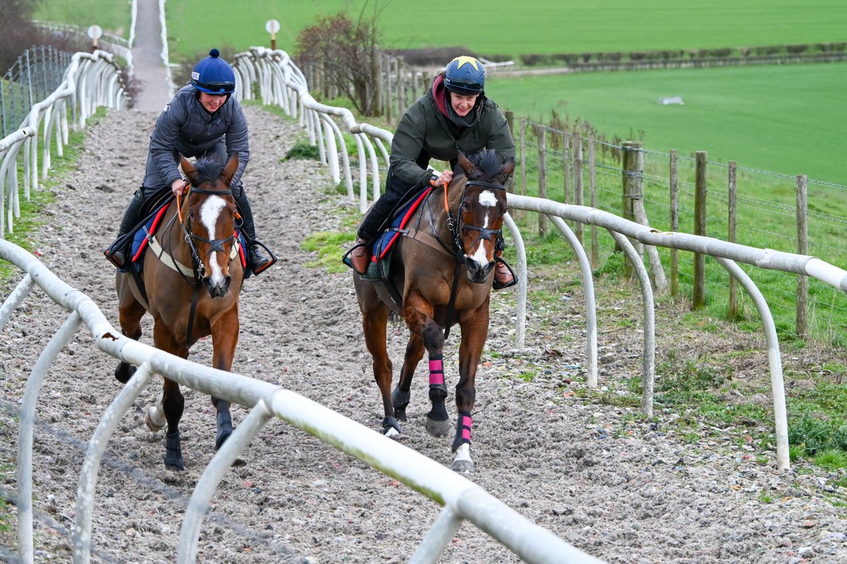 Douglas Longbottom &amp; Rocky Creed
#douglaslongbottom #rockycreed