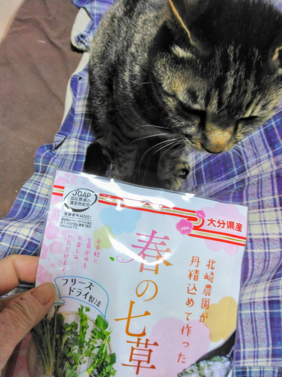 ましゃ❤ (@lU7OvPR5K7C3bpB) / Posts / X