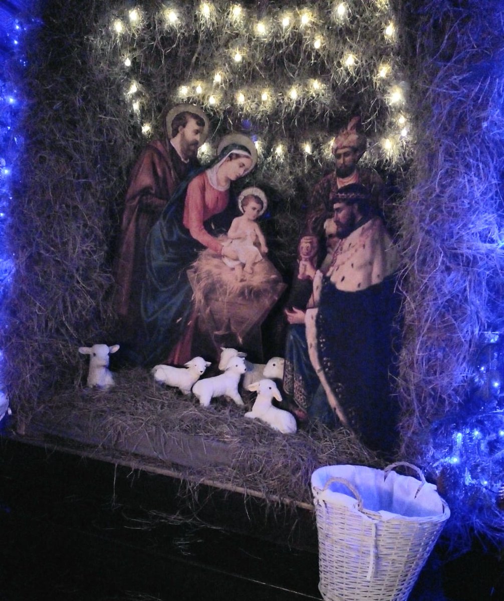 Катерина Галич tweet media