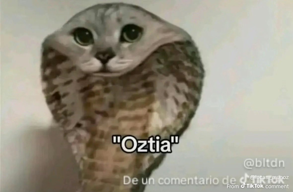 InvicthorXiquito tweet media