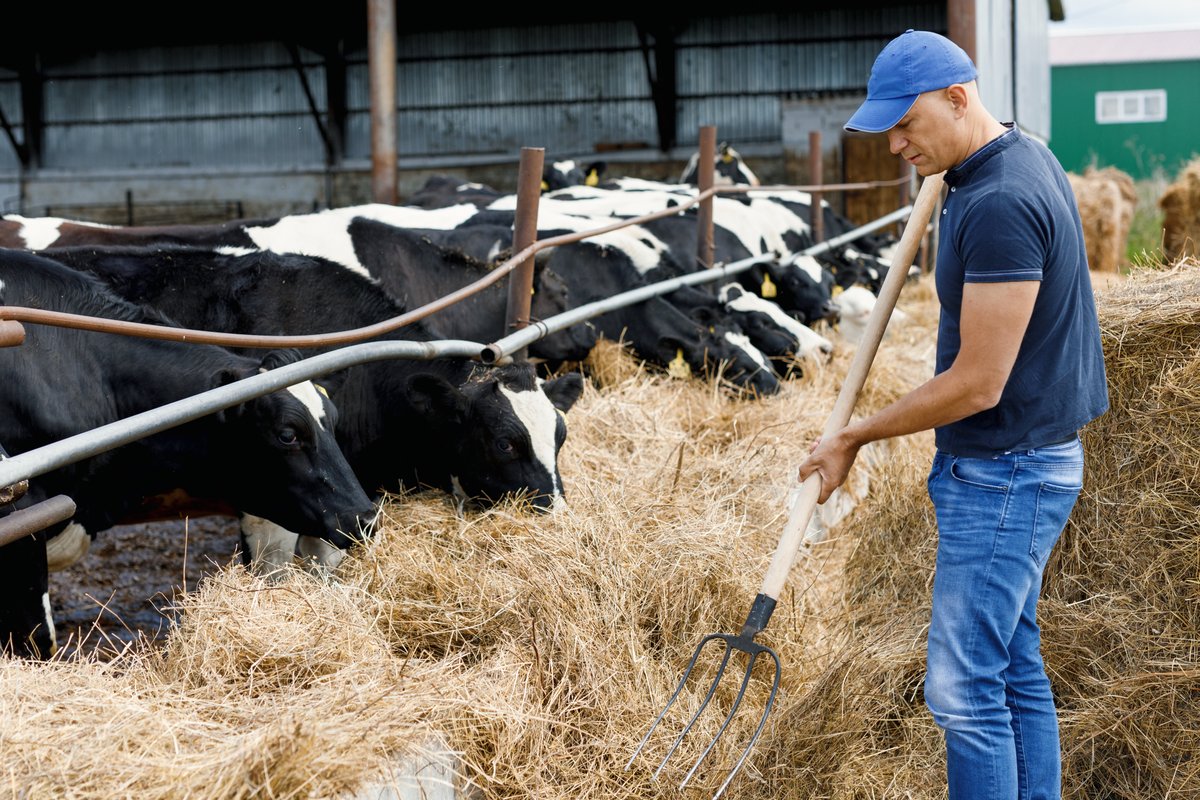 NFIB's tweet image. #Smallbusinesses need affordable energy choices to continue to grow and operate. Several bills are making progress in #NFIB’s fight to secure domestic energy production to lower costs for millions of America’s small businesses. 

Read more here: nfib.com/news/analysis/…