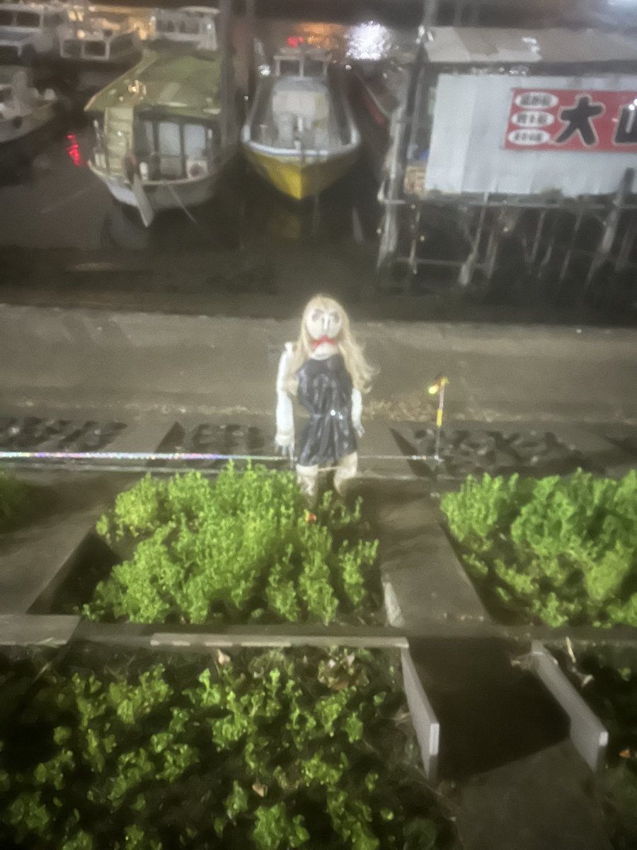近所の川のカカシガチ怖い