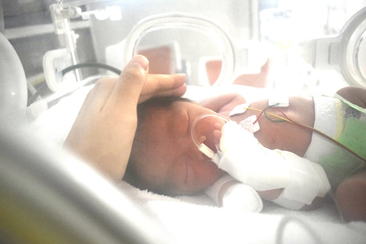 mto_c_'s tweet photo. R8.1.5
一卵性双生児の男の子出産しました
36w0dでの出産となり赤子たちはNICUへ
NICUへ面会に行くとずっと見てられる
可愛くて可愛くて、たまらん🥺
生まれてきてくれて、ありがとう🫶🫶 https://t.co/wz720GAxec
