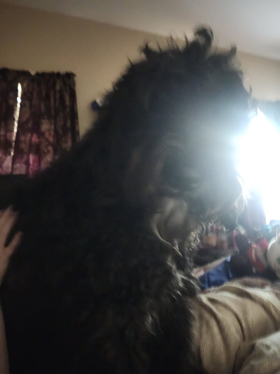 DRUGANDDOMINOS's tweet image. 2024 vs 2026... i missed my friend 🫶