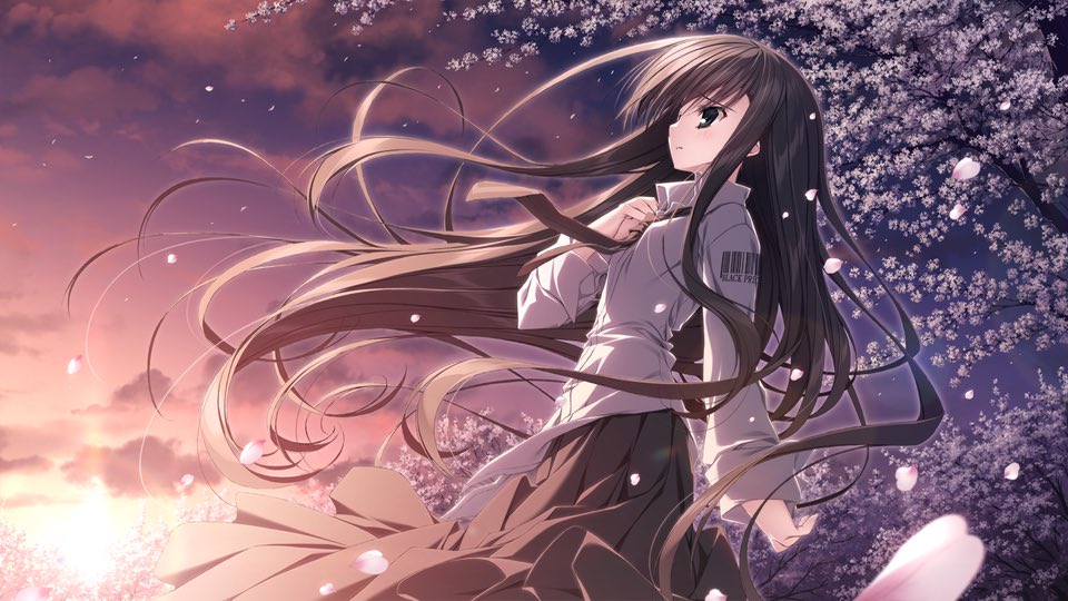 シマリス tweet media