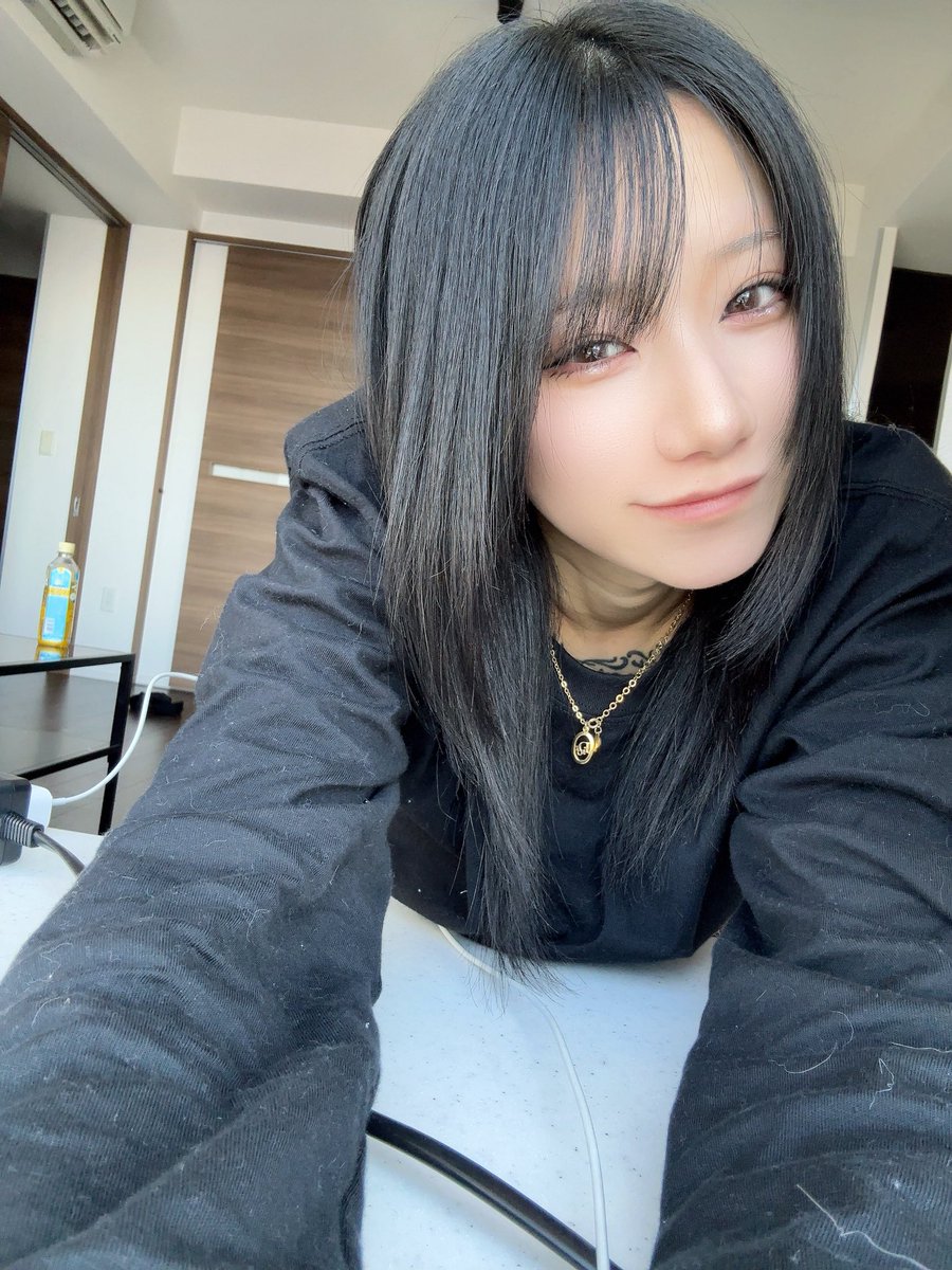 ひいらぎページ OEM Decals Kawasaki ZX9R 1995 - Gray • Original Stickers